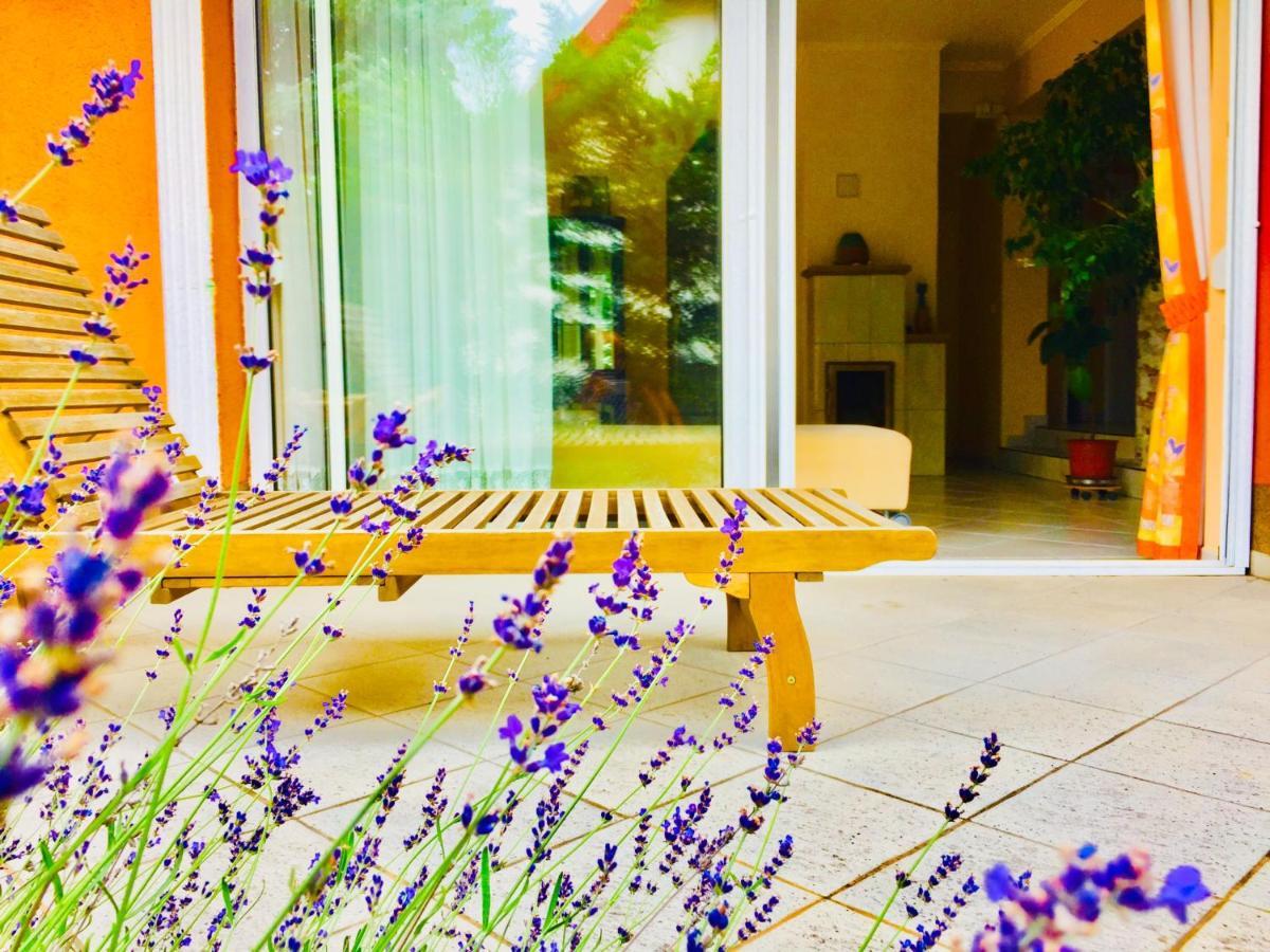 Apollo Inn Velence Εξωτερικό φωτογραφία